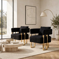 Sery Accent Sofa Chair Set of 2, Black Teddy Fleece, Gold Square Legs