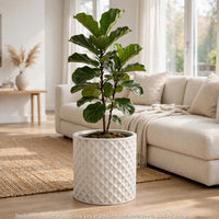 Gana Cylindrical Planter, 3D Diamond Design, Antique White Concrete 16 Inch - BM355287