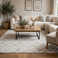 Unos 5x7 Geometric Medium Area Rug, Ivory Gray Polypropylene Polyester