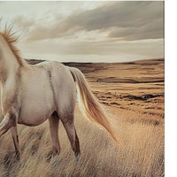 Tiya Wall Art Painting, Wild Horse Galloping Glass Print, Golden 36x48 - BM355657