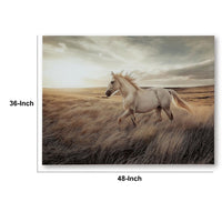 Tiya Wall Art Painting, Wild Horse Galloping Glass Print, Golden 36x48 - BM355657