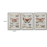 Josie Butterfly Wall Art Set, Antique Script Accents, Acrylic Fronts 20x28