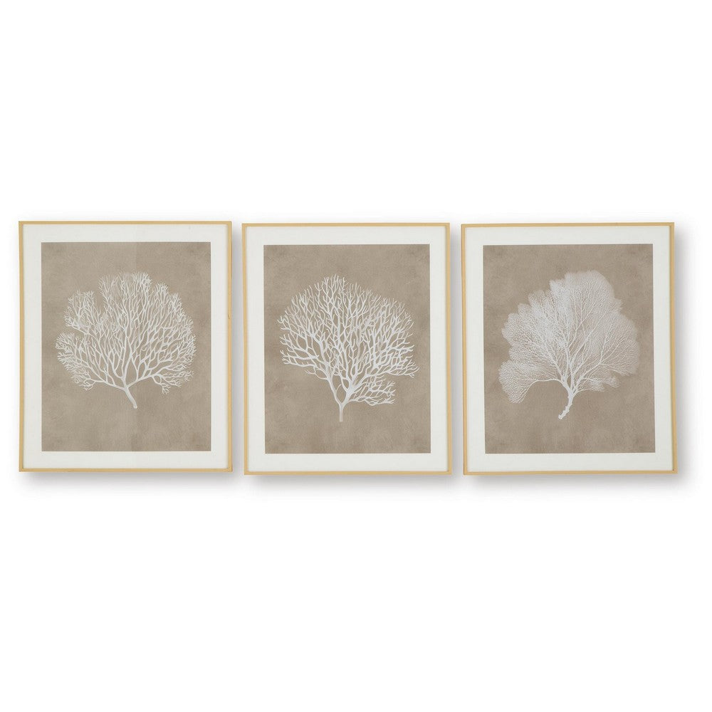 Henny Wall Art, Set of 3, White Coral Motifs, Brown Glass-Front Frame 20x24