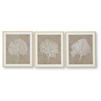 Henny Wall Art, Set of 3, White Coral Motifs, Brown Glass-Front Frame 20x24
