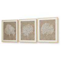Henny Wall Art, Set of 3, White Coral Motifs, Brown Glass-Front Frame 20x24