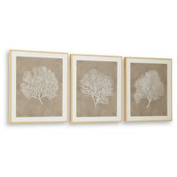 Henny Wall Art, Set of 3, White Coral Motifs, Brown Glass-Front Frame 20x24