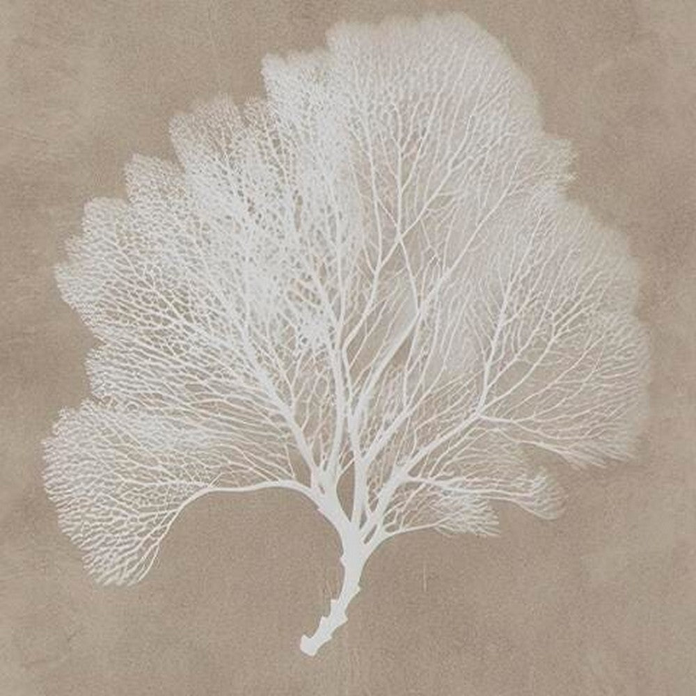 Henny Wall Art, Set of 3, White Coral Motifs, Brown Glass-Front Frame 20x24