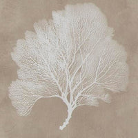 Henny Wall Art, Set of 3, White Coral Motifs, Brown Glass-Front Frame 20x24