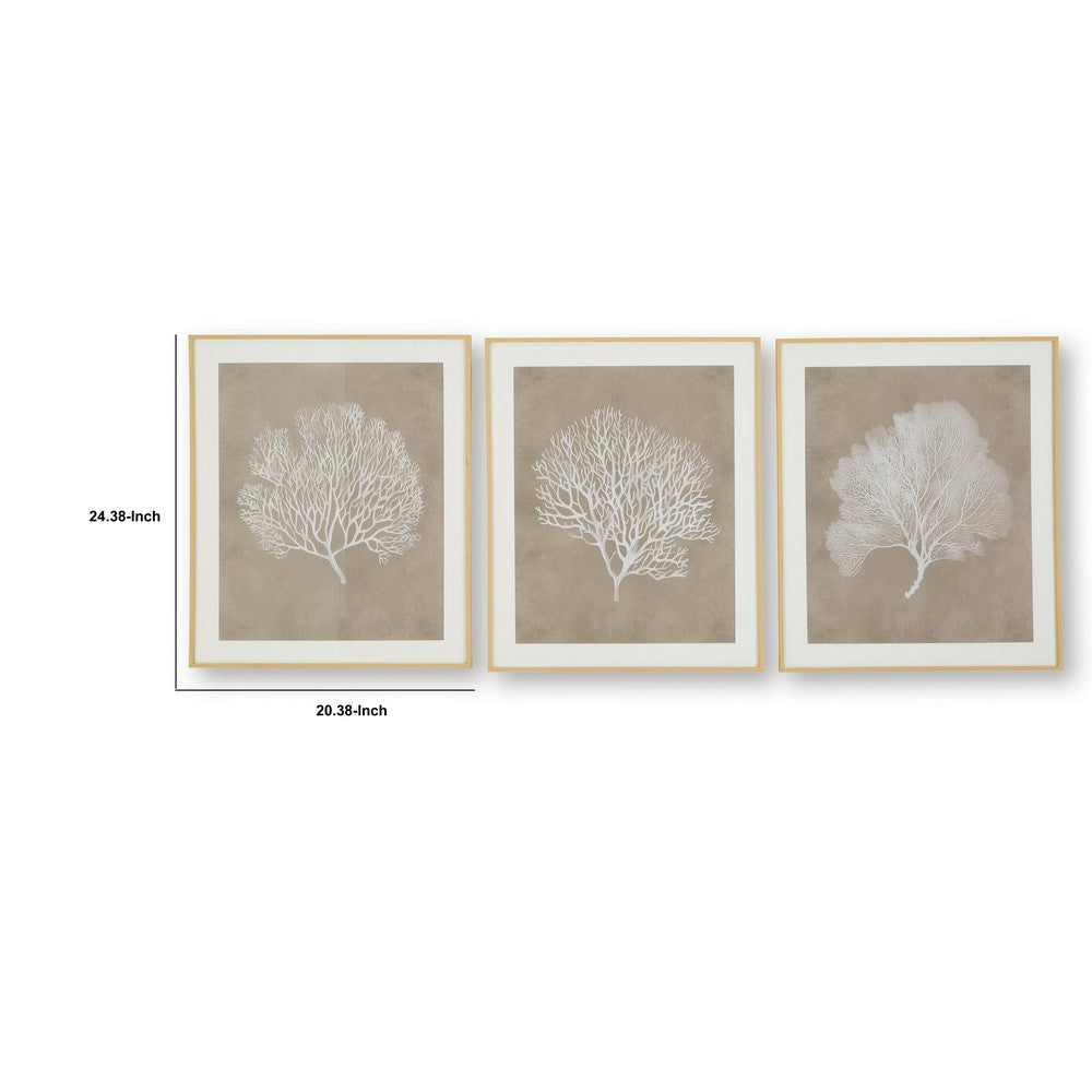 Henny Wall Art, Set of 3, White Coral Motifs, Brown Glass-Front Frame 20x24