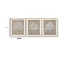 Henny Wall Art, Set of 3, White Coral Motifs, Brown Glass-Front Frame 20x24