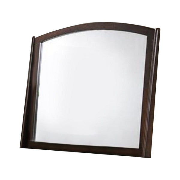 Contemporary Appeal Mirror, Varnish Oak - PDX-F4874