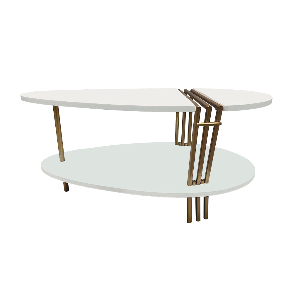 36 Inch Modern Coffee Table, Oval Elliptical Shape, White Mango Wood With Antique Brass - UPT-293502