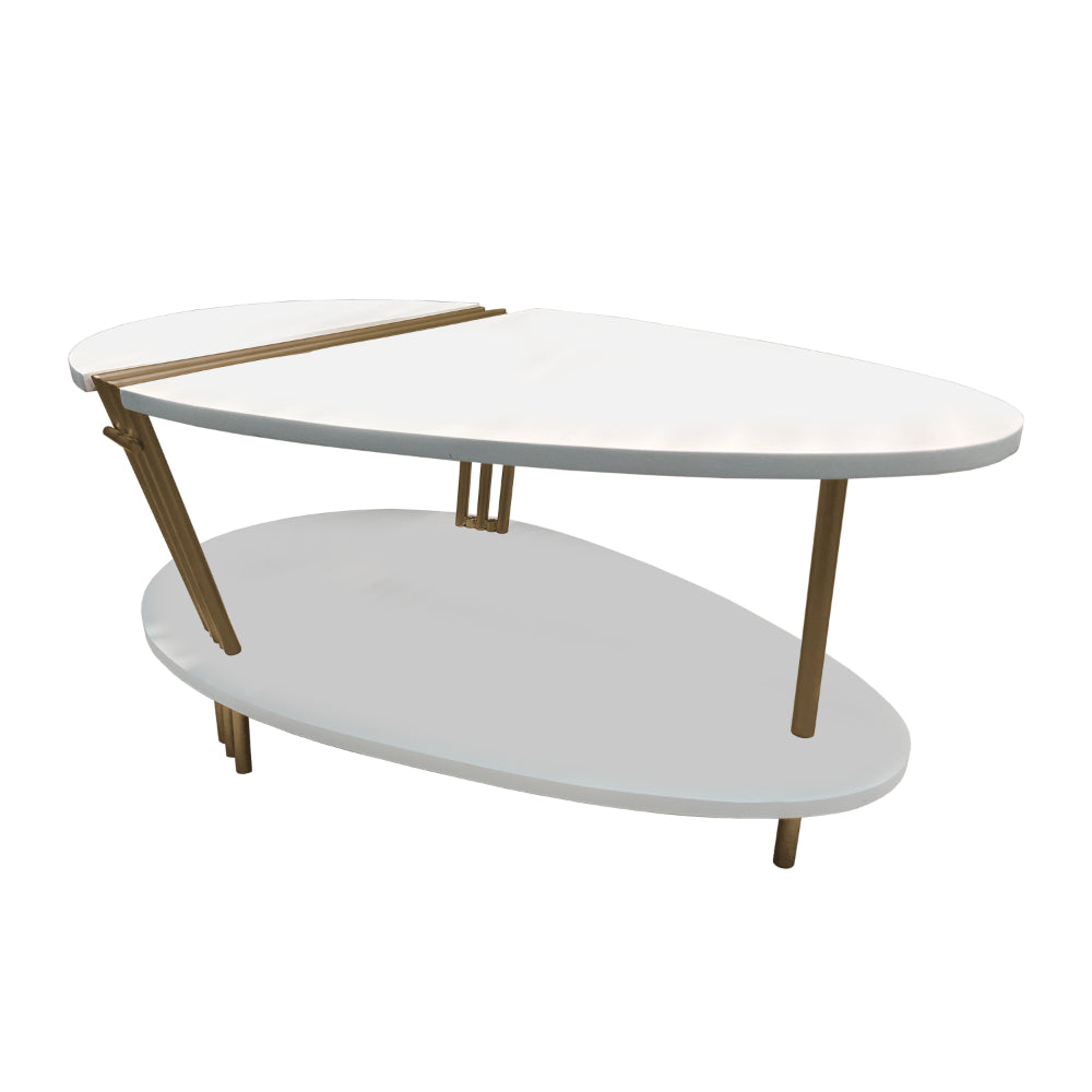 36 Inch Modern Coffee Table, Oval Elliptical Shape, White Mango Wood With Antique Brass - UPT-293502