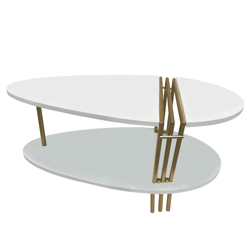 36 Inch Modern Coffee Table, Oval Elliptical Shape, White Mango Wood With Antique Brass - UPT-293502