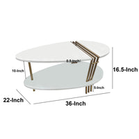 36 Inch Modern Coffee Table, Oval Elliptical Shape, White Mango Wood With Antique Brass - UPT-293502