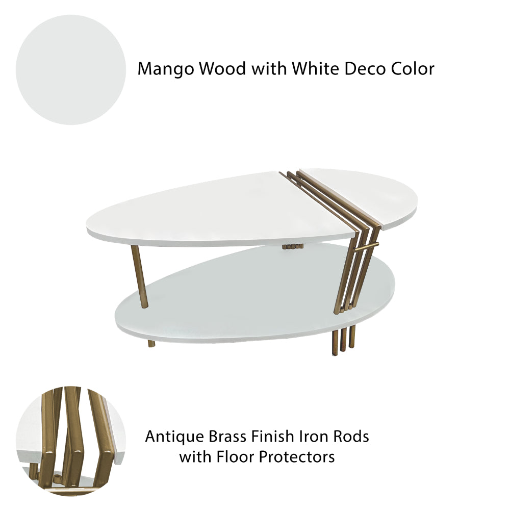 36 Inch Modern Coffee Table, Oval Elliptical Shape, White Mango Wood With Antique Brass - UPT-293502