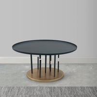 Neci 31 Inch Coffee Table, Round Matte Black Tray Top, Modern Rod Supports with Brass Base - UPT-298834