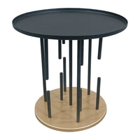 Neci 20 Inch Side End Table, Round Matte Black Tray Top, Modern Rod Supports with Brass Base - UPT-298835