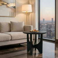 Sara Round Side End Table, 20 Inch Solid Mango Wood Top in Matte Black with Curved legs UPT-337248