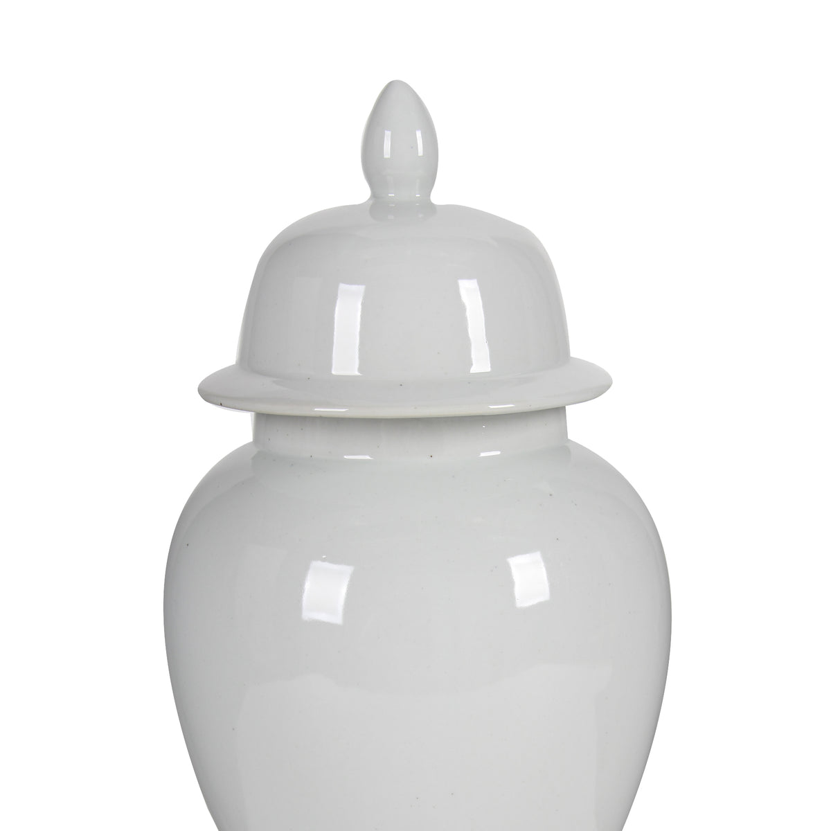 Kipp Decorative Porcelain Ginger Jar with Lidded Top, Large, White - BM165657