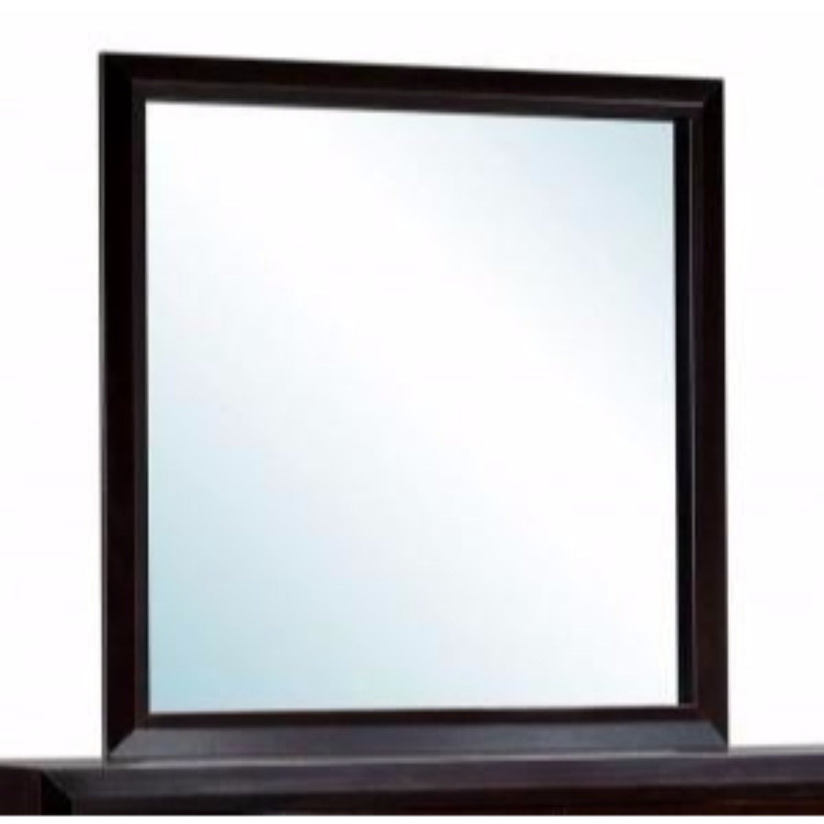 Janine Transitional Style Dark Espresso Mirror - BM123518