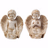 Peacefully Praiseworthy Set Of 2 Angels - BM150697