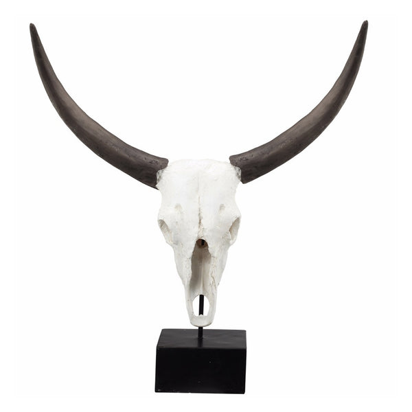 BM150715 Wild & Beautiful Cow Skull, Resin