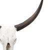 BM150715 Wild & Beautiful Cow Skull, Resin