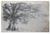 BM152900 Wavy Tree Canvas Print, Black and Beige
