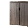 Wooden Shoe Cabinet With Spacious Storage, Distressed Gray - BM179731