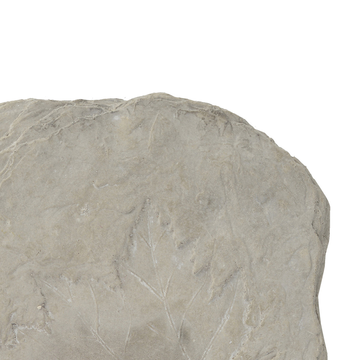 Concrete Fossil Accent Stone with Fern Leaves Imprint, Gray - BM200856