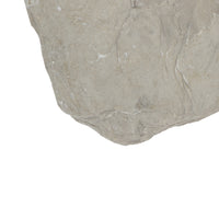 Concrete Fossil Accent Stone with Fern Leaves Imprint, Gray - BM200856