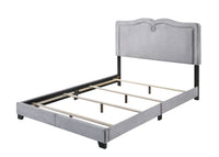 Velvet Upholstered Wooden Queen Size Bed with Nail head Trims, Gray - BM204566