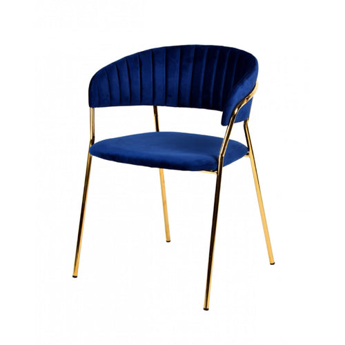 Fabric Upholstered Dining Chair with Metal Legs, Set of 2, Blue and Gold - BM214814