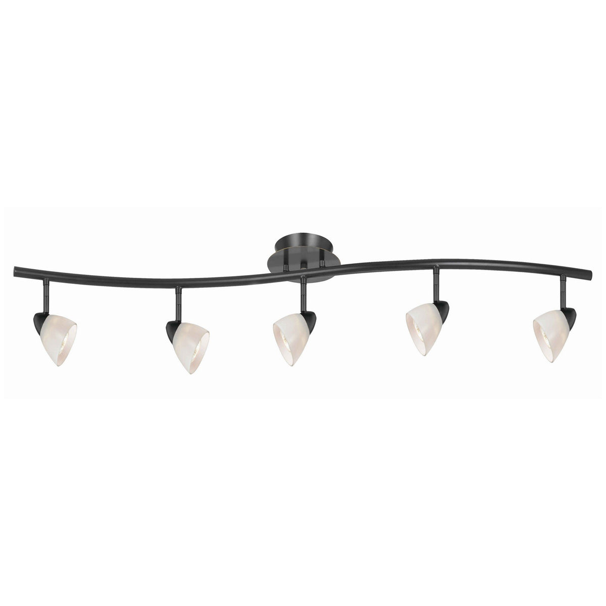 5 Light 120V Metal Track Light Fixture with Glass Shade, Black and White - BM225647