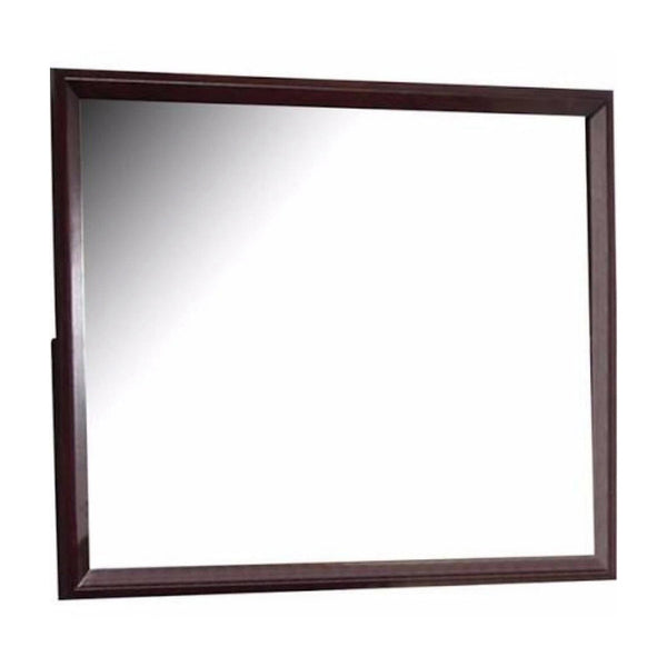 45 Inch Rectangular Wood Frame Mirror, Dark Brown - BM230414