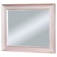 64 Inch Contemporary Style Wooden Frame Mirror, Rose Pink - BM235460