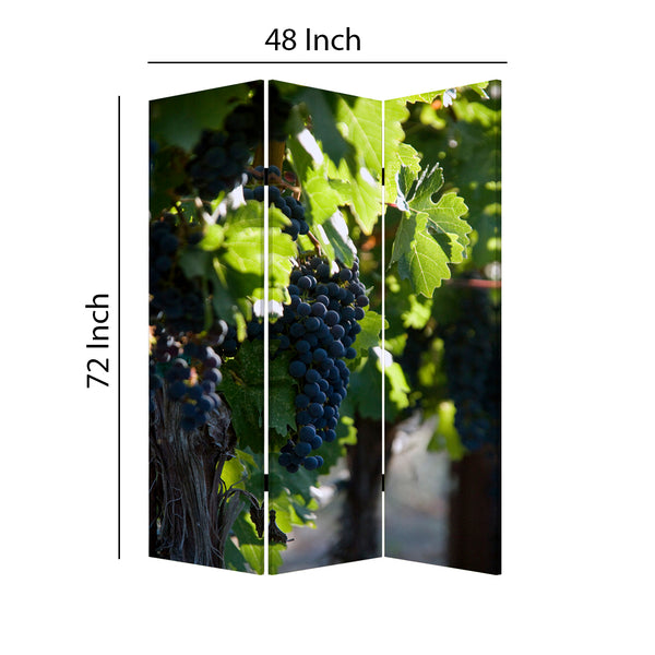Grape Vine Print Foldable Canvas Screen with 3 Panels, Multicolor - BM26549