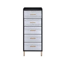 San 45 Inch 5 Drawer Jewelry Storage Chest, Gold Legs, Black and Silver - BM274615