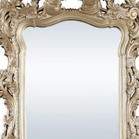 56 Inch Wall Mirror, Ornate Carving, Champagne Gold - BM275049