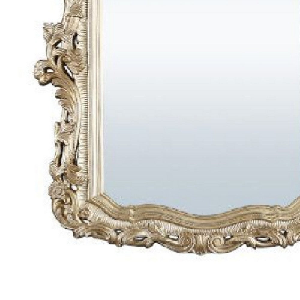 56 Inch Wall Mirror, Ornate Carving, Champagne Gold - BM275049