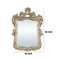 56 Inch Wall Mirror, Ornate Carving, Champagne Gold - BM275049