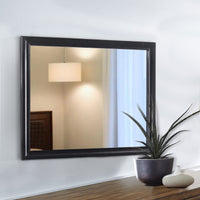 47 Inch Wood Mirror, Landscape Frame, Classic, Black - BM280342