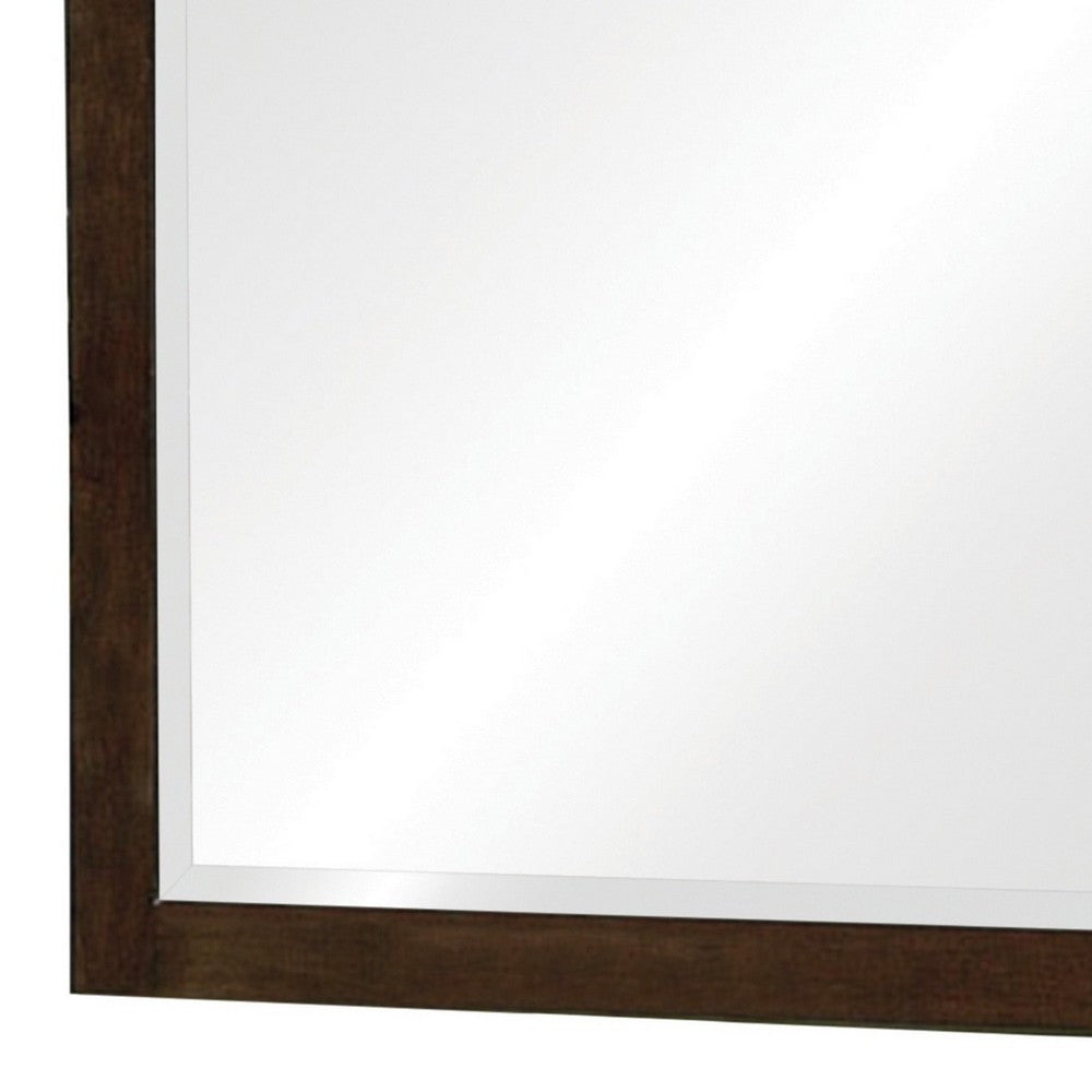 40 Inch Solid Wood Modern Mirror, Portrait, Framed, Cappuccino Brown - BM280469