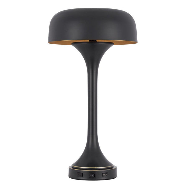 Emma 22 Inch Modern Desk Lamp, 2 USB, 1Type C Charging Port, Dark Bronze - BM280522