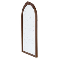 Eel 42 Inch Wall Mirror, Brown Arched Wood Frame, Hand Carved Rose Accent - BM285889