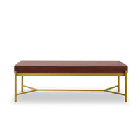 Lola 55 Inch Modern Foyer Bench, Dark Rose Velvet Seat and Gold Metal Frame - BM286263