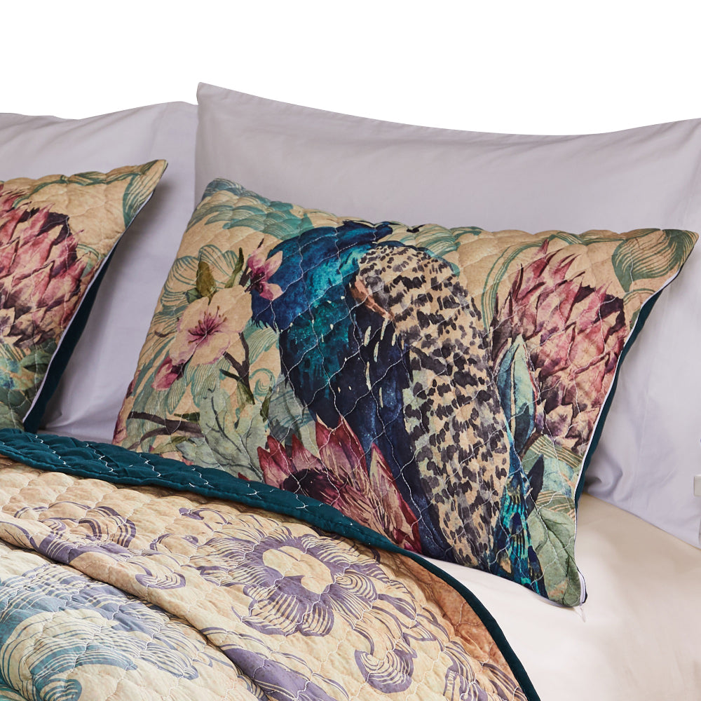 Ufa 36 Inch Quilted King Pillow Sham, Peacock Print, Vermicelli Stitching - BM294299