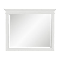 Candy 43 Inch Classic Accent Mirror, Rustic Minimalist Design, Crisp White - BM295533