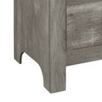 Adia 24 Inch Classic 2 Drawer Nightstand, Metal Handles, Rustic Gray Finish - BM295562